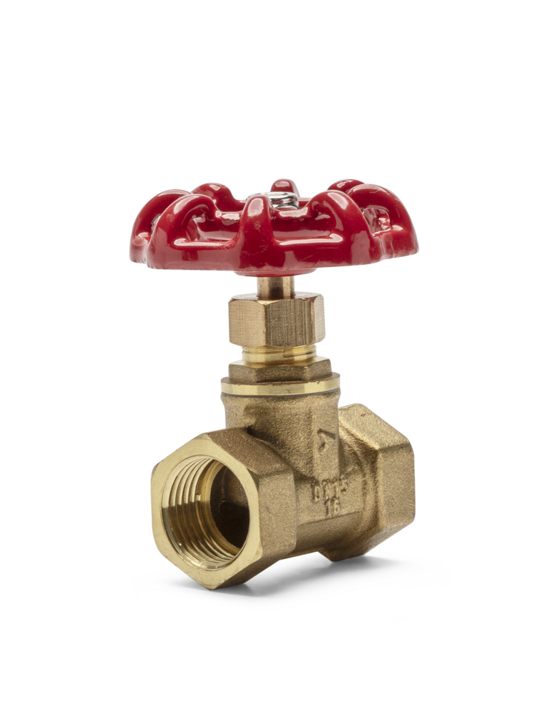 Brass DIN Globe Valve BSP Female PN16