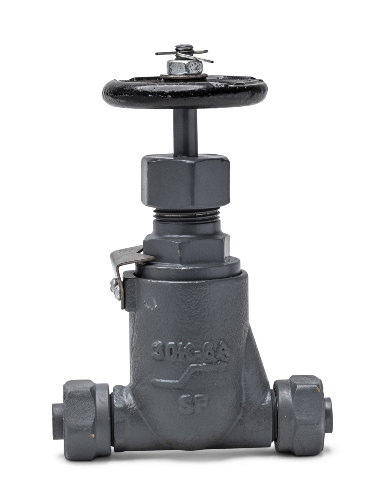 Forged Steel Globe Valve, Union/Threaded, 30K, JIS, 6 mm, M20 x 1.50