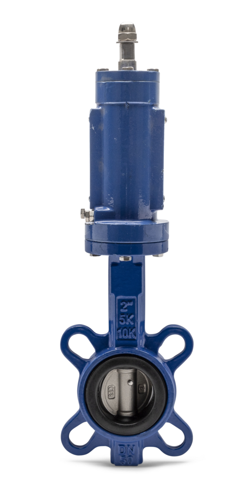 Butterfly Valve Center Handle Gearbox Wafer Cast Iron NBR Seat